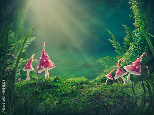 Fototapeta Naklejka Na Ścianę i Meble -  Magic forest background,