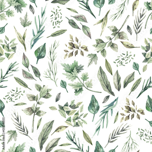 Watercolor hand painted seamless pattern with green herbs illustrations. Natural elements: herbs, leaves, branches, spring garden greens. Nature illustration for wrapping paper, textile, decorations.