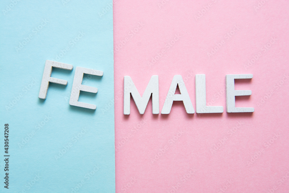 Female words on pink and blue background. Gender, the male or female sex concept, gender equality Female words on pink and blue background. Gender, the male or female sex concept, gender equality