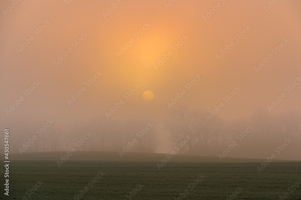 Fototapeta premium Sunrise over the fjord at Alrø. The yellow sunlight, reflected in the water