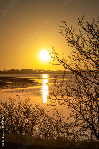Sunrise over the fjord at Alrø. The yellow sunlight, reflected in the water
