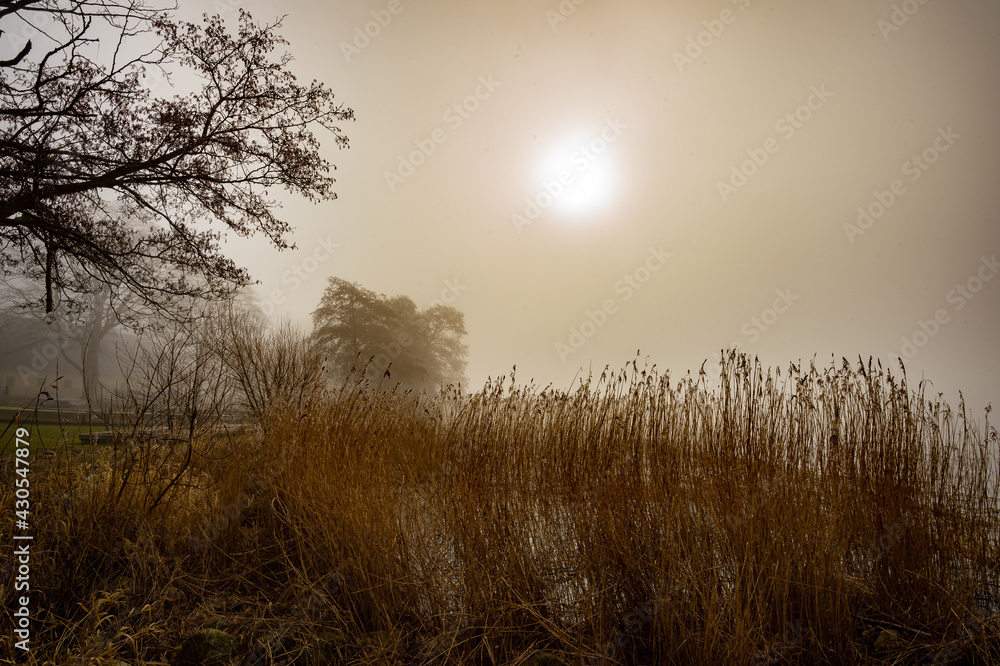 Sunrise over the fjord at Alrø. The yellow sunlight, reflected in the water