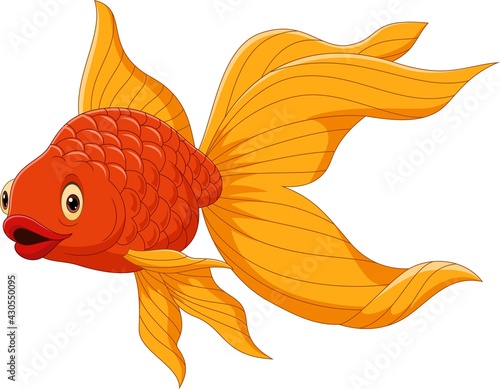 Cartoon cute goldfish on a white background