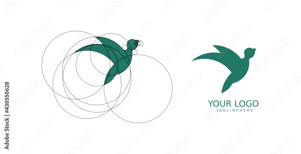 simple bird logo with golden ratio. bird logo with golden ratio size