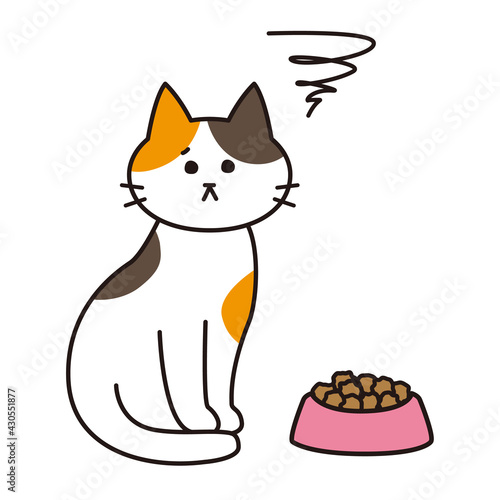 キャットフードに不満がある表情をした三毛猫