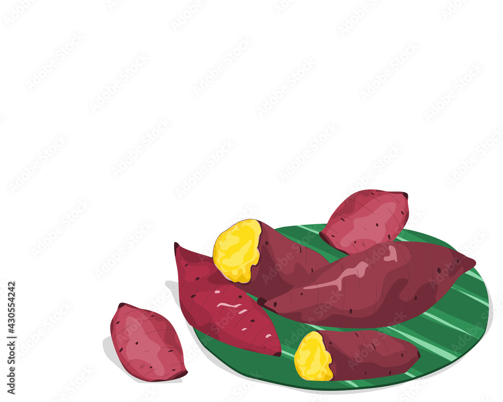 Isolated  whole and a half steamed yellow sweet potato on banana leaves. Food ingredients vector illustration on white background. Close up steamed potato hand drawing vector.