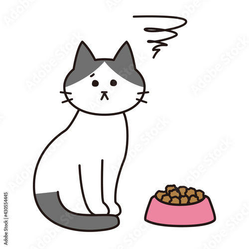 キャットフードに不満がある表情をしたハチワレ猫