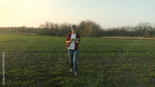 A woman agronomist walks across the field and works online in a tablet, a farmer makes an analysis of crops on the ground, a business project for growing vegetables and fruit crops, agricultural life