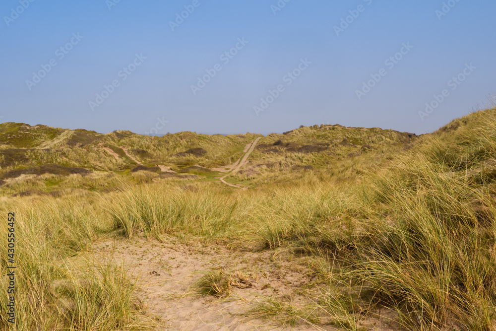 Sand dunes leading to the sea in a beach holiday setting Sand dunes leading to the sea in a beach holiday setting