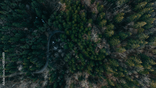 bird's eye view of mountain forest