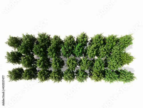 Concept or conceptual group of green forest tree isolated on white background  minus sign. 3d illustration metaphor  for nature  conservation  global warming  environment  ecology  climate