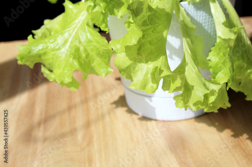 green lettuce leaves in a pot on a plywood background