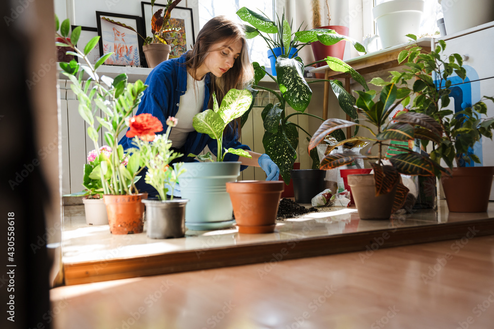 Close up of a woman planting plants in new pots Close up of a woman planting plants in new pots