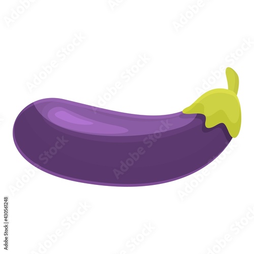 Nutrient eggplant icon. Cartoon of Nutrient eggplant vector icon for web design isolated on white background