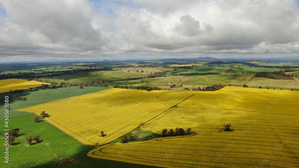 Obraz premium landscape with a river