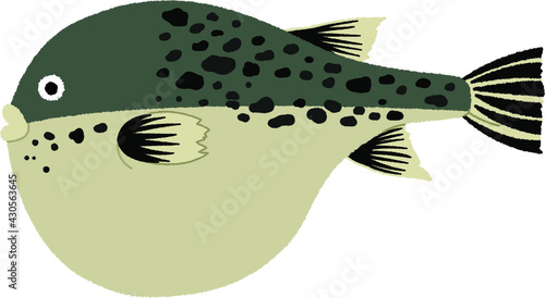 フグのイラスト