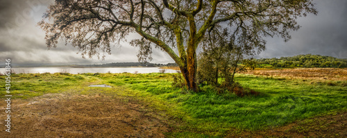 Landscape near Albufeira da Barragem do Divor photo