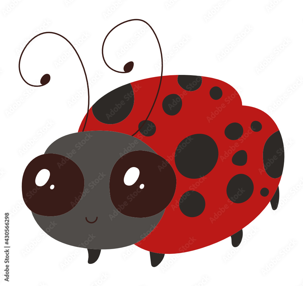 Obraz premium Ladybug