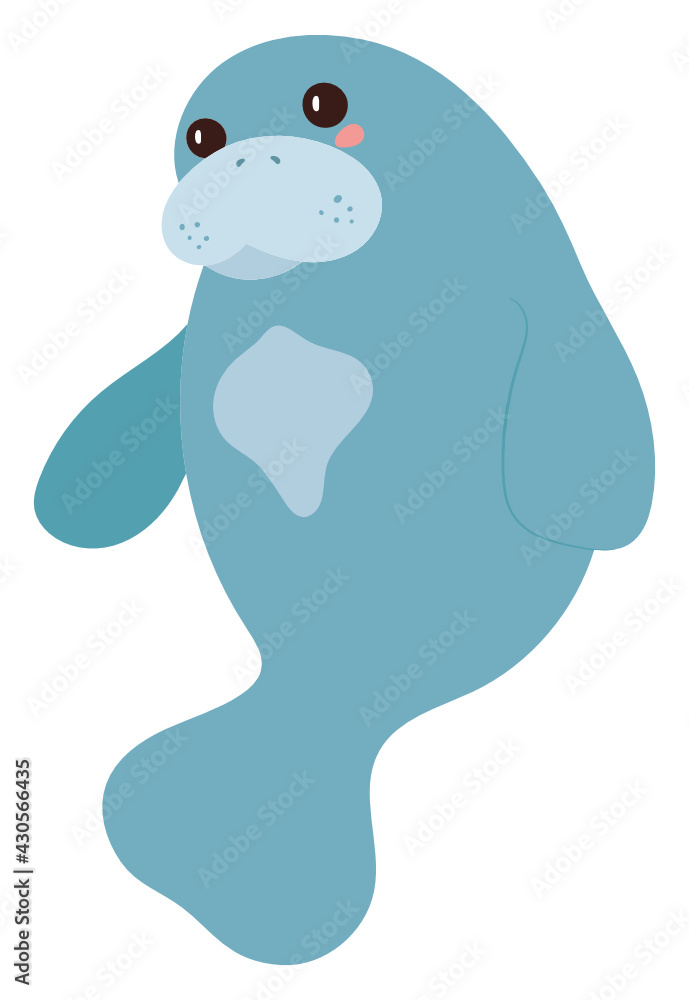 Obraz premium Manatee