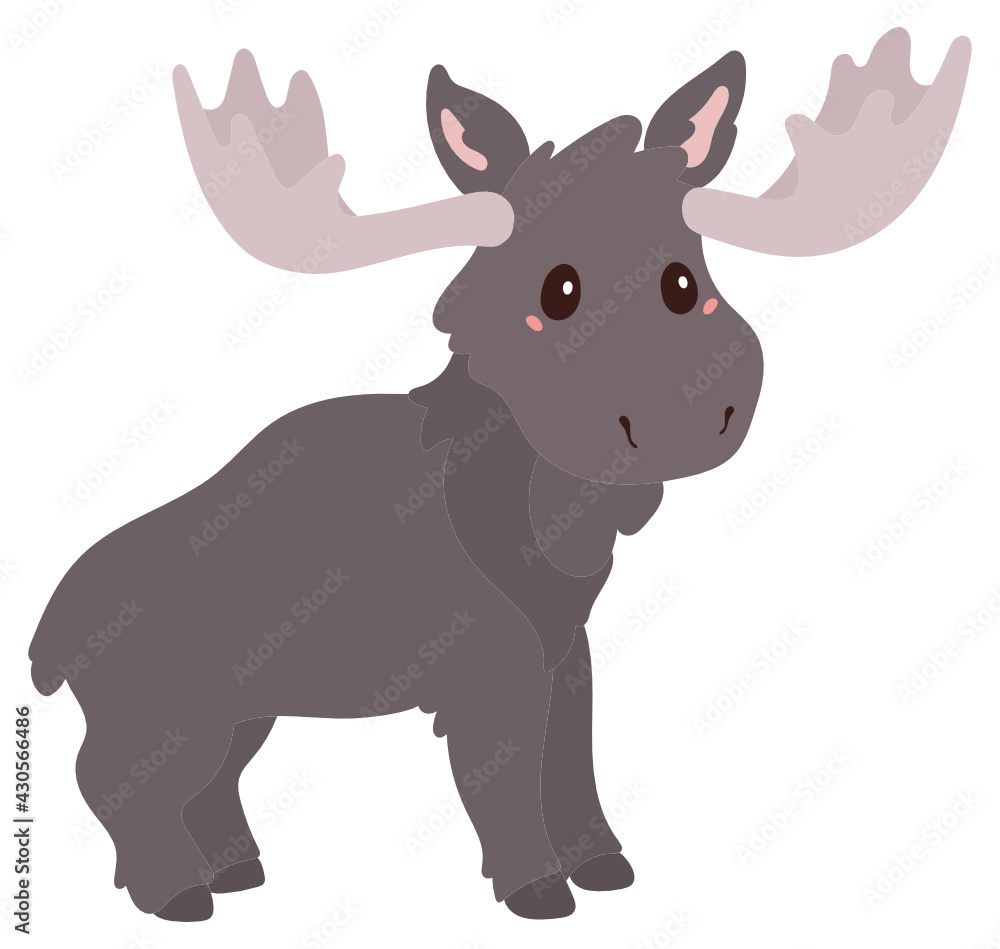 Fototapeta premium Moose