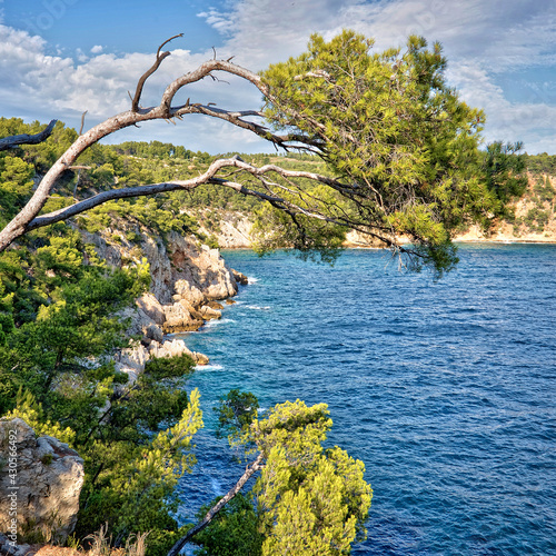 Calanque between Cassis and Marseille, France. Mediterranean landscape.