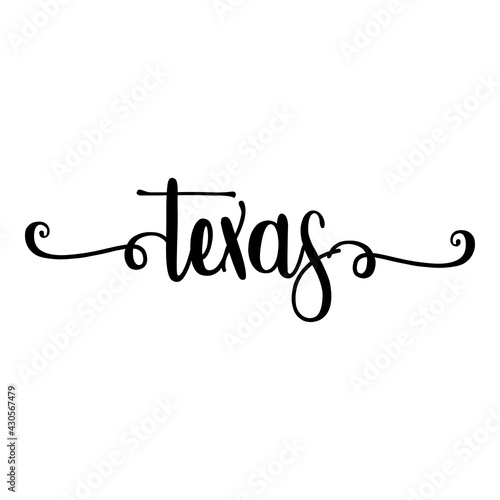 Banner con texto manuscrito texas escrito a mano con florituras en color negro