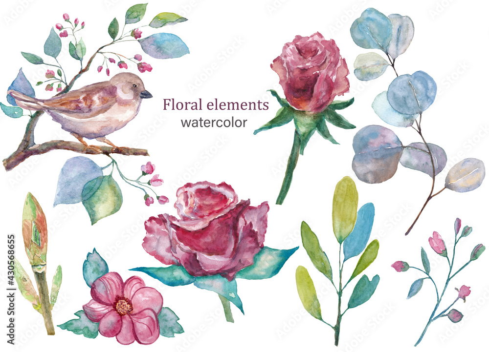 watercolor llustrations clipart floral elements