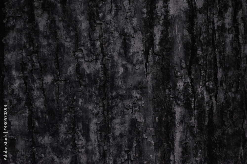 Fototapeta premium Textura Natural