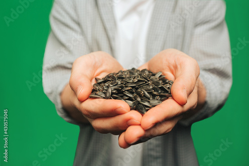 Close up young man holds sunflower seeds in hands, isolated on green background
