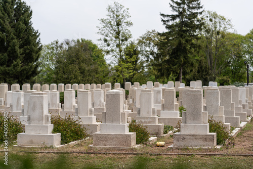 Many tombs in rows, graves on military  cemetery photo