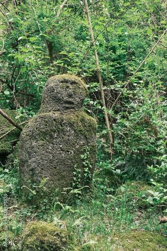 stone in the forest