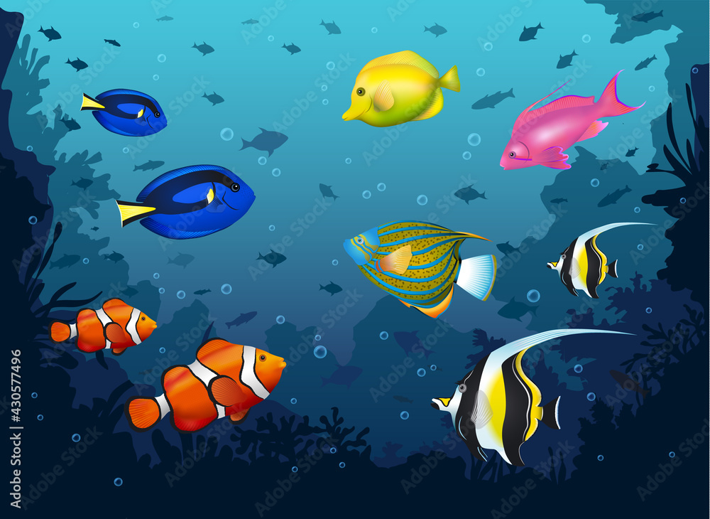 underwater deep sea background with tropical fishes underwater deep sea background with tropical fishes