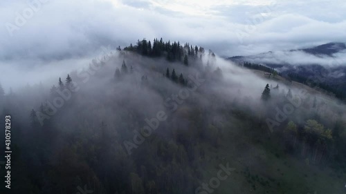 Flying Over Misty Forest at Carpathian Mountains. Wood fog nature wild mist magic dark morning. Rain weather mountains misty fog pine tree forest. Mountain village Dzembronya, Ukraine. High contrast.
