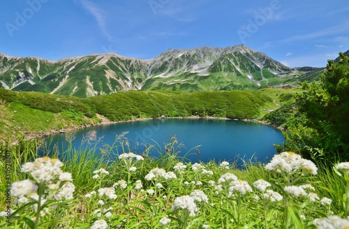Photos 立山アルパイン　夏景色