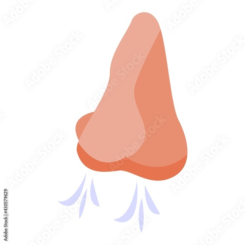 Nose smell icon. Isometric of Nose smell vector icon for web design isolated on white background