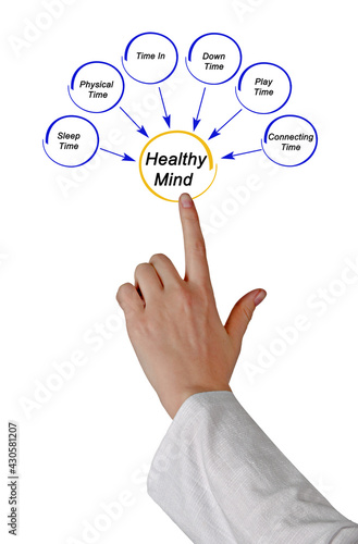 What does Healthy Mind Need?