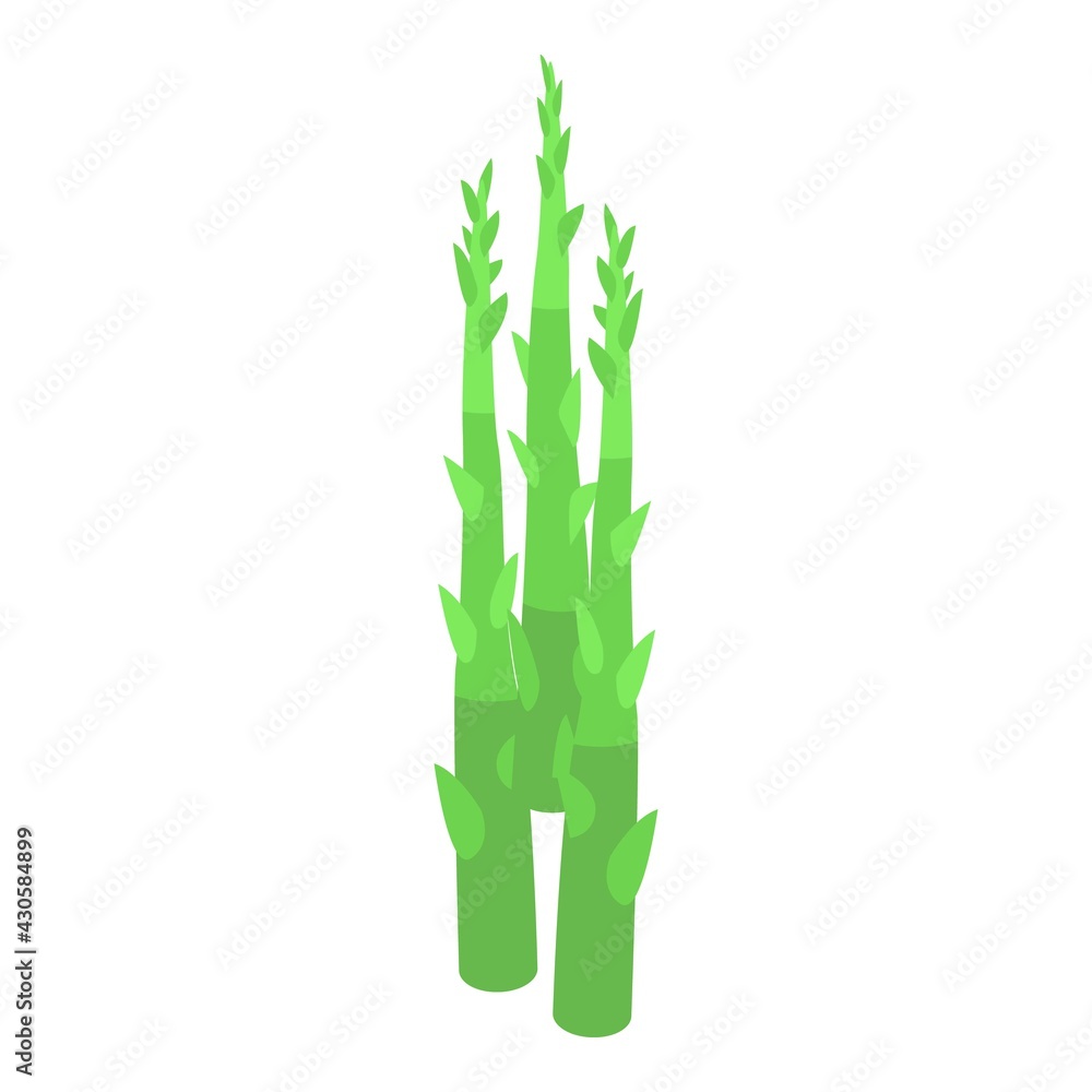 Asparagus organic icon. Isometric of Asparagus organic vector icon for web design isolated on white background Asparagus organic icon. Isometric of Asparagus organic vector icon for web design isolated on white background