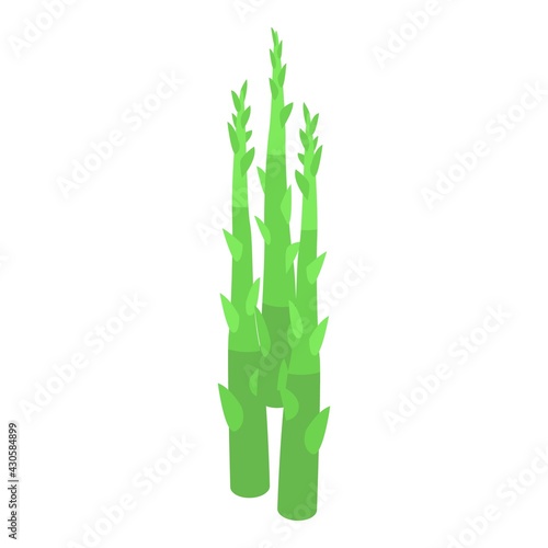 Fototapeta Naklejka Na Ścianę i Meble -  Asparagus organic icon. Isometric of Asparagus organic vector icon for web design isolated on white background
