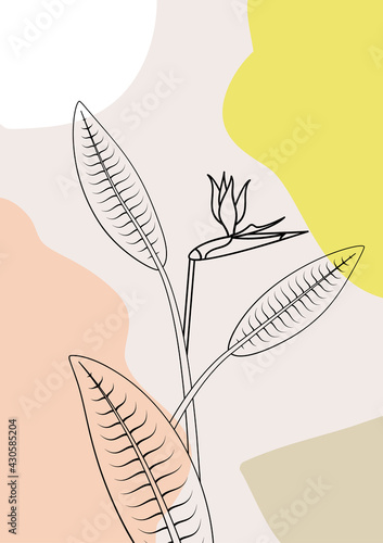 Boho style print with line art tropical flower bird of paradise and fluid abstract shapes on background. Pastel neutral colors. Stock vector illustration.