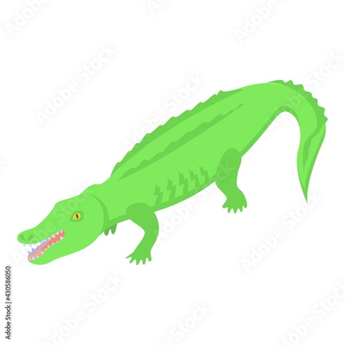 Green crocodile icon. Isometric of Green crocodile vector icon for web design isolated on white background © ylivdesign