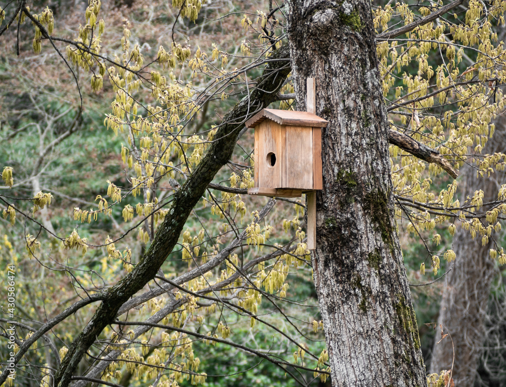 Wooden bird house hanging on tree in forest Wooden bird house hanging on tree in forest