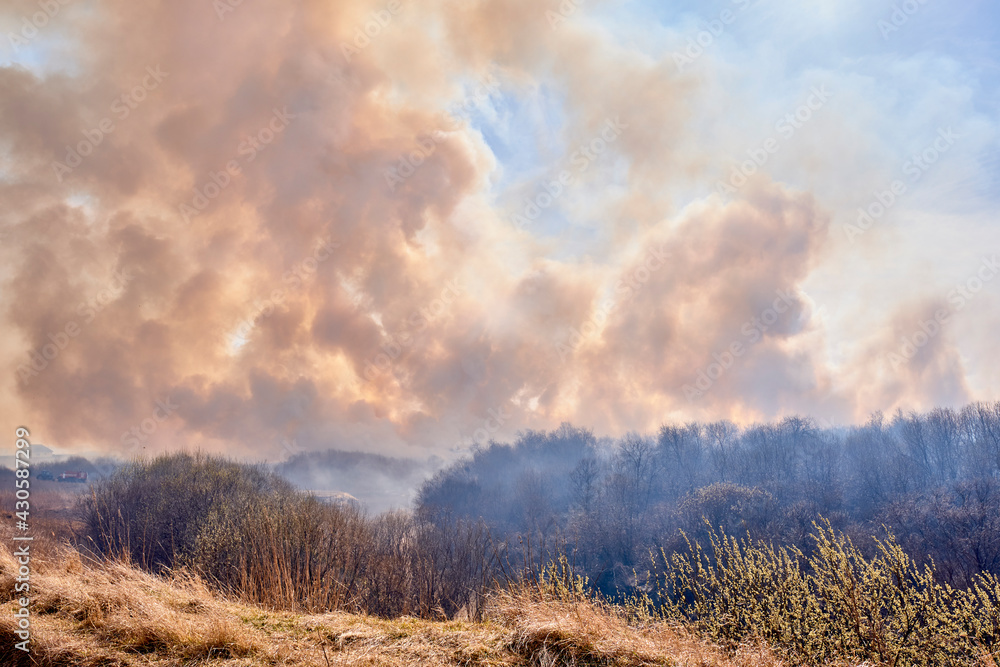 Dry grass burns on fields and forest. Clouds of colorful smoke fly across the sky.