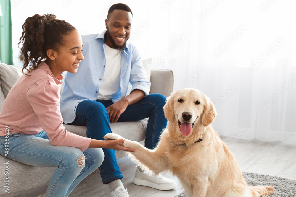Smiling black girl playing with pet in the living room Smiling black girl playing with pet in the living room