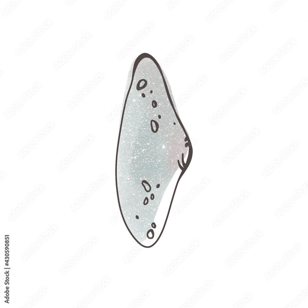 Watercolor blue seashell with ink outline isolate on white background. Doodle digital art outline. Print for sticker, tattoo, scrapbook, packaging, brand, poster, banner Watercolor blue seashell with ink outline isolate on white background. Doodle digital art outline. Print for sticker, tattoo, scrapbook, packaging, brand, poster, banner