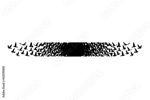 Flying birds silhouettes on white background. Vector illustration. isolated bird flying. tattoo design.