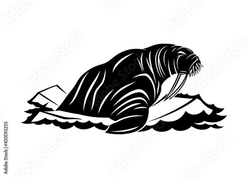 Walrus icon on ice floes on white background.
