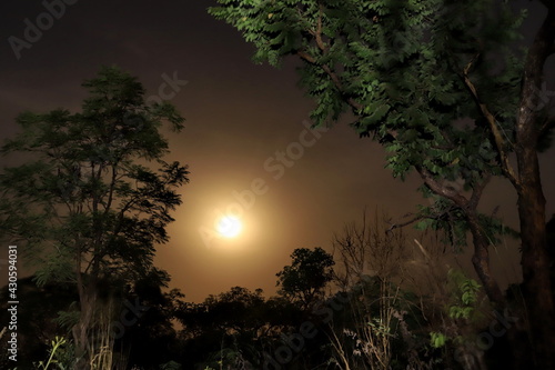 moon in african forest
