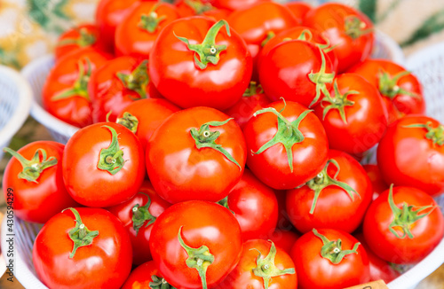 Fresh red tomatoes vegetables