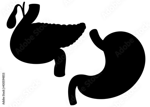 Human pancreas set. Vector image.