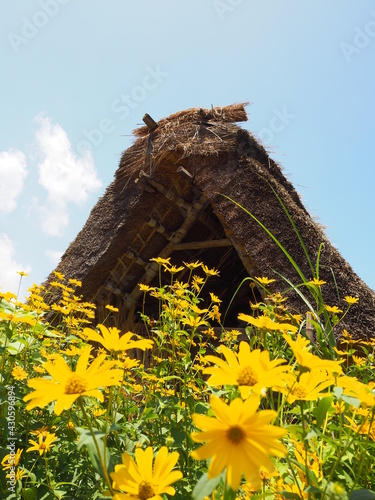 Traditional style of Japanese old house